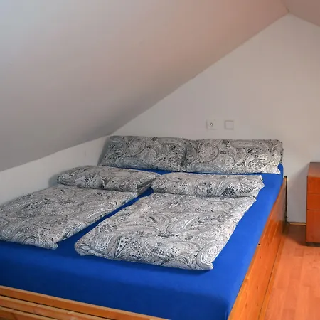 Penzion Hostal Petrovice (Olomouc)